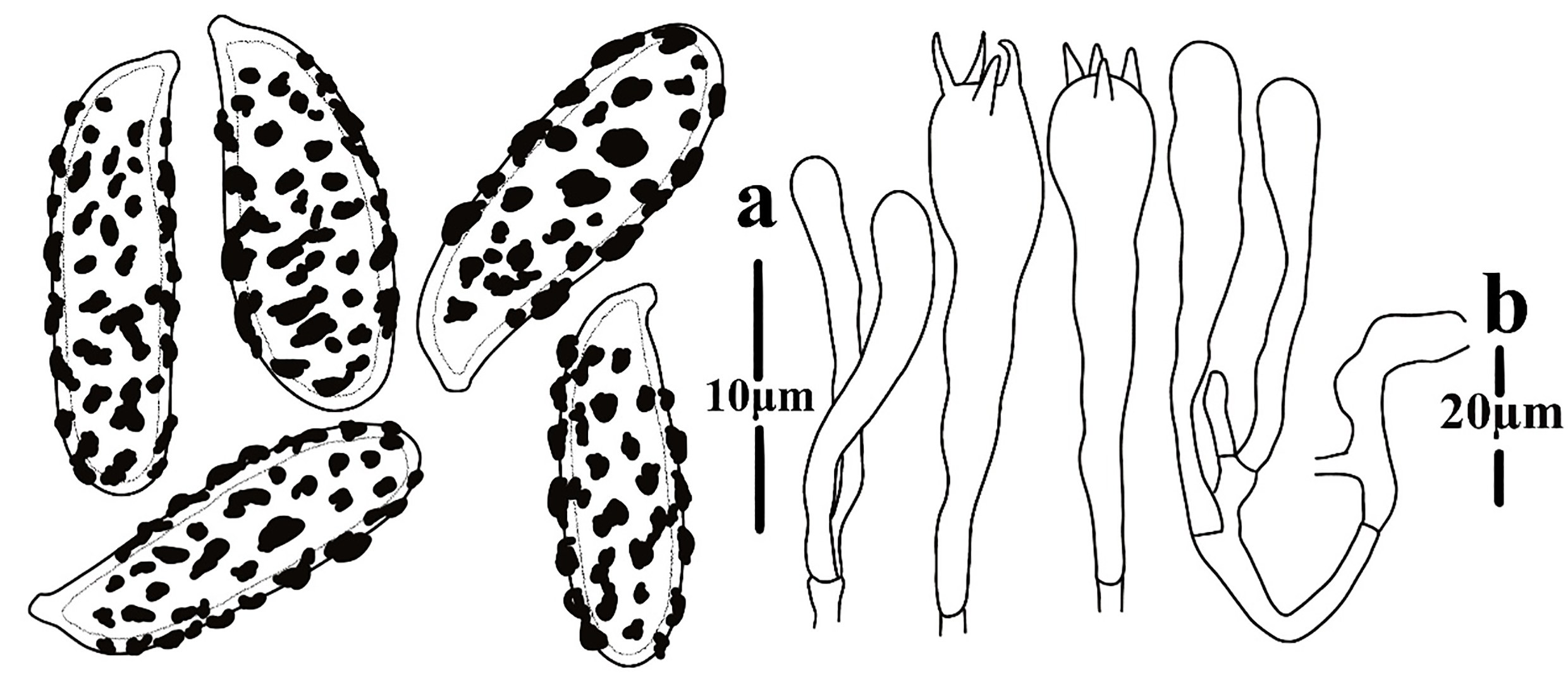 Figure 96
